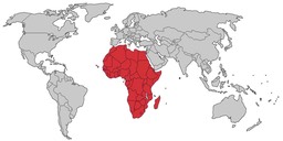 Abbildung Africa