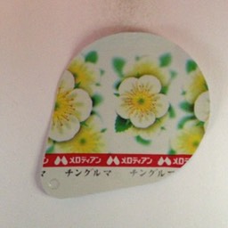 JPN_IMG_8536