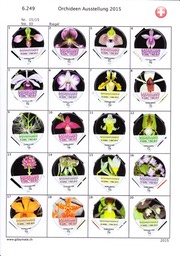 SUI_15-15 6249-B Orchideen Ausstellung 2015 1-20