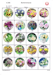 SUI_18-20 6308-A Blumensträusse 1-20