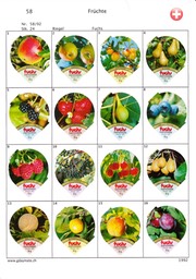 SUI_92-58 58-B Früchte 1-16
